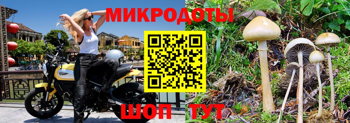 Щёкино  Псилоцибиновые грибы мухоморы  Галлюциногенные грибы мицелий  Вход с VPN 