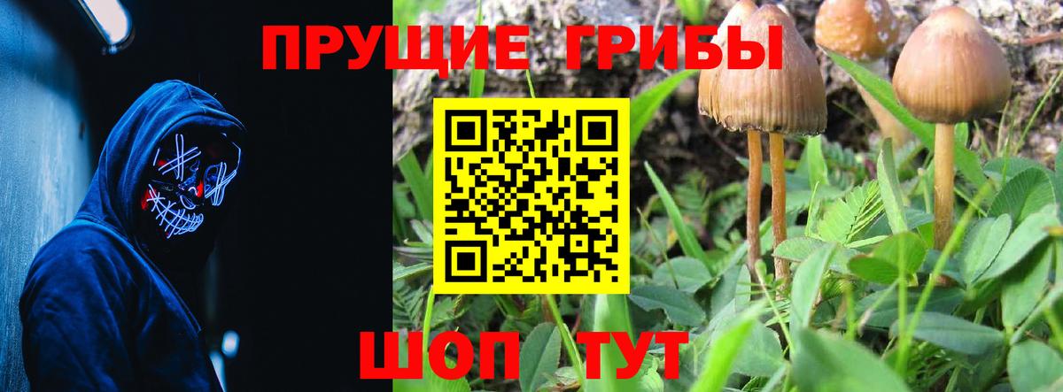 Галлюциногенные грибы мухоморы Щёкино